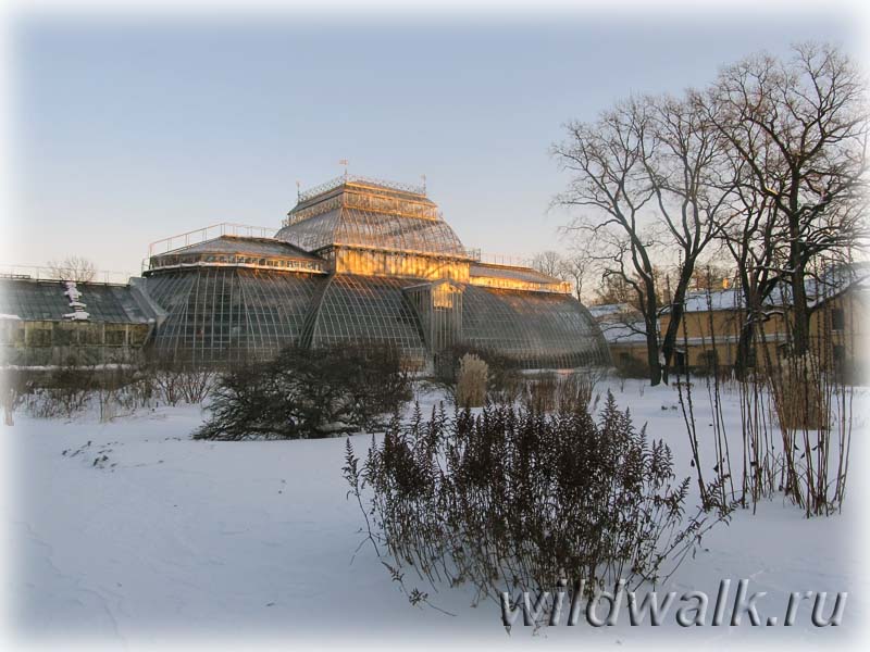 Ботанический сад. Зимний пейзаж. Фото.