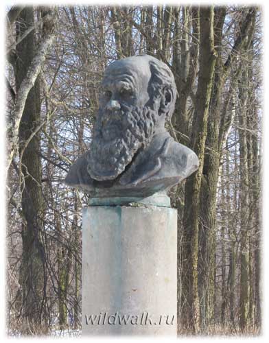 Бюст Дарвина – расположен напротив домика Павлова. Фото.