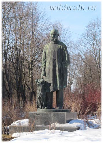 Памятник академику Павлову с собакой (1951 год, скульптор В.В.Лишев). Фото.