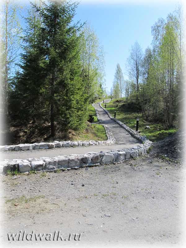 Дорожка в горном парке «Рускеала». Фото.