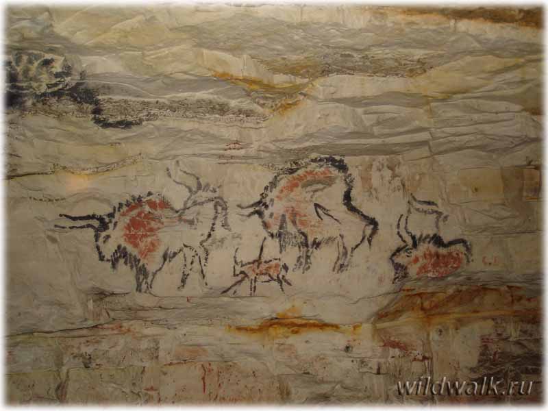 Саблинские пещеры. Фото. Наскальная живопись.